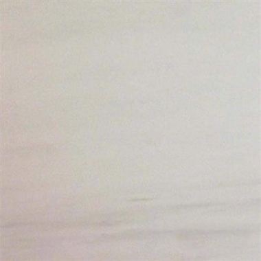 MSI Bianco Dolomite in 12x24