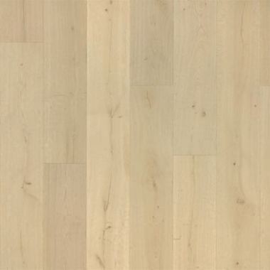 Karastan Belhancourt in Linen Wash Oak